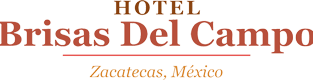 hotel cerca de jerez de garcía salinas zacatecas
